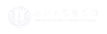 2026世界杯官网